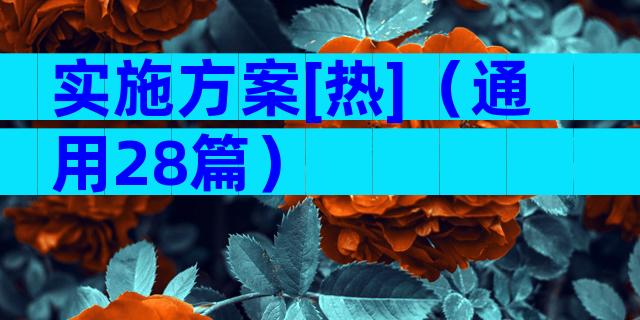 实施方案[热]（通用28篇）